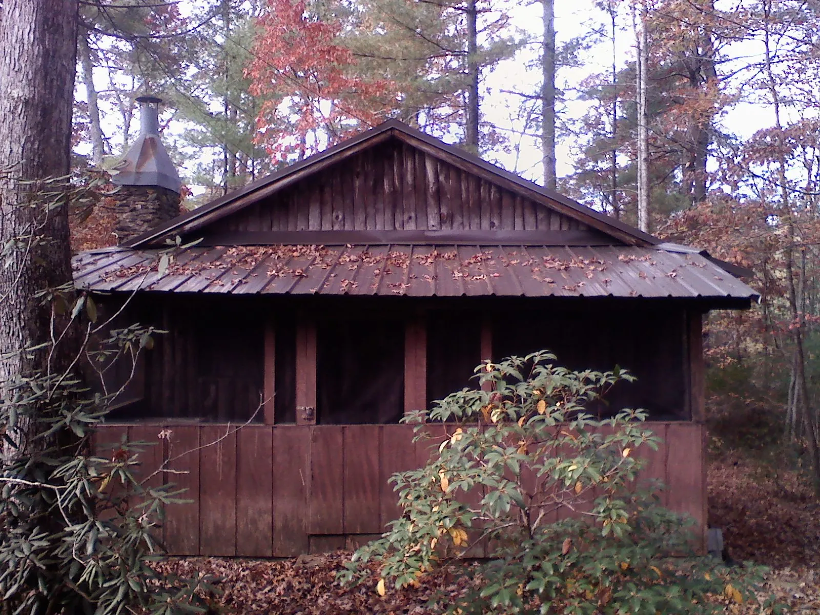Metal roof over the screened porch of a rustic cabin in Waverly